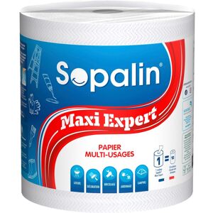 Sopalin essuie-tout Maxi Expert Aluminium - Publicité