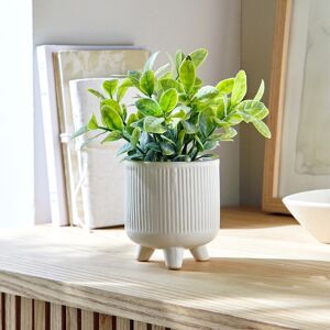 Plante artificielle en pot ceramique - BlancheporteElle ne demande ni entretien, ni arrosage... Mais elle assure en termes de deco ! Offrez-vous une ambiance vegetale moderne et reussie dans votre salon, votre cuisine, votre chambre ou votre entree, avec 