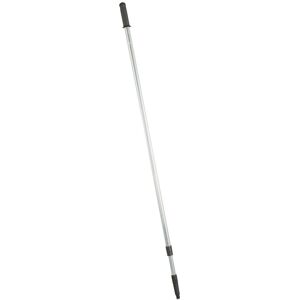 LEIFHEIT Professional Manche télescopique 250 cm 59109