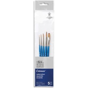 Set de Pinceaux Winsor & Newton Cotman x5 assortis