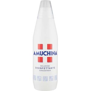 Amuchina Soluzione Disinfettante Concentrata, 500ml