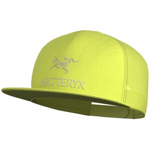 Arc'Teryx Logo Trucker Flat Sprint NA