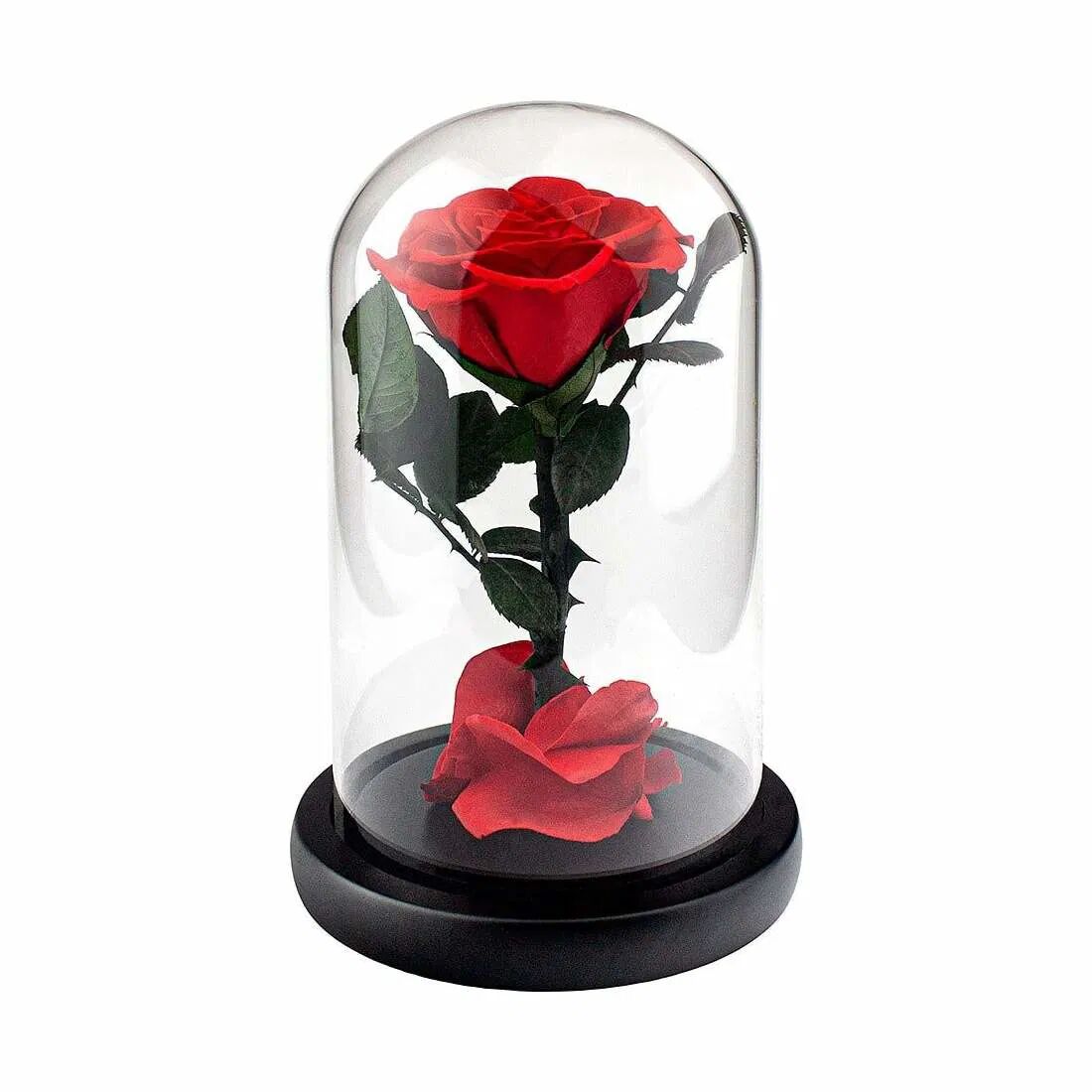 eStore Stor Rose i Glasskuppel - Rød