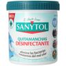 Sanytol quitamanchas desinfectante 450 gr