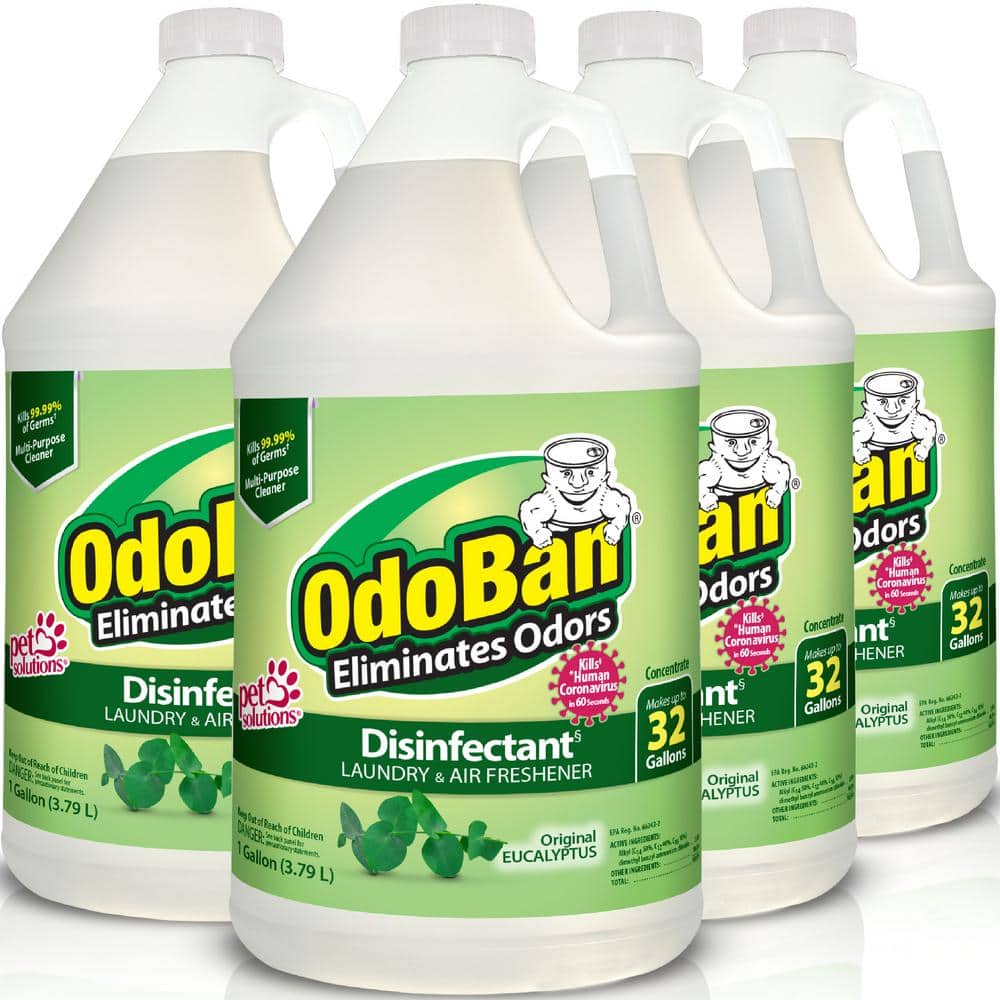 OdoBan 1 Gal. Eucalyptus Disinfectant and Odor Eliminator, Fabric Freshener, Mold Control, Multi-Purpose Concentrate (4-Pack)