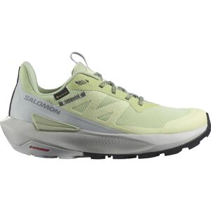 Salomon ELIXIR ACTIV GTX Multifunktionsschuhe Damen grün 39 1/3