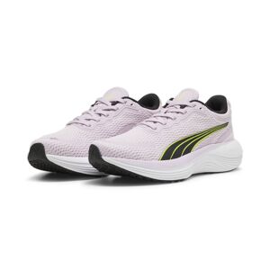 Laufschuh »SCEND PRO« Grape Mist-PUMA Black-Lime Pow  40,5