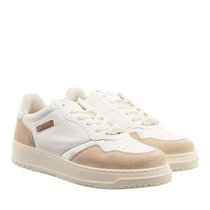 Steve Madden Sneakers - Dunked Sneaker - Gr. 36 (EU) - in Beige - für Damen