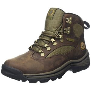 Timberland RG Hike FTP Chocorua Mid GTX Women's Short Boots Brown 39.5 EU