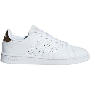 Adidas Advantage Damer Sneakers Hvid 36⅔