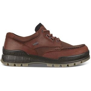 ECCO Track 25 Herr Gore-Tex BisonBison Oil Nubuck 40