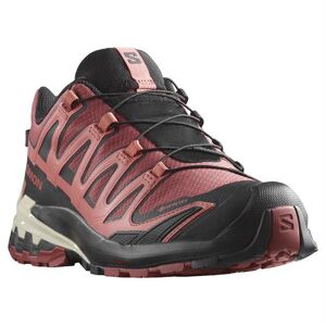 Salomon XA Pro 3D V9 GTX Womens, Cow Hide / Black 37