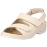 Berkemann 01015 Melbourne Wenke, Damen Clogs & Pantoletten, Beige (creme 109), EU 37.5, (UK 4.5)