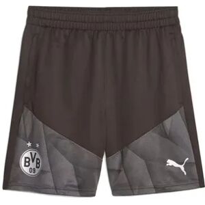 Puma BVB TRG - Short hombre black/puma silver