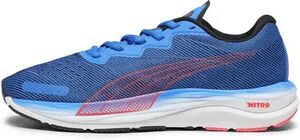 Puma VELOCITY NITRO 2 - Zapatillas de running hombre ultra blue/fire orchid