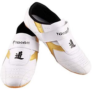 Dilwe Chaussures de Taekwondo, Chaussures en Cuir PU à Semelle Souple de Karaté pour Taichi Arts Martiaux Sneaker Gym Exercise Foot Protective Gear(38（内长240cm) Shoes Taekwondo Shoes Taekwondo - Publicité