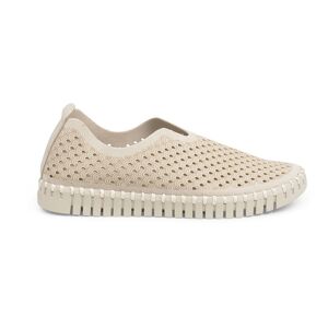 Shoes Beige EU 38 Femme Beige EU 38 female