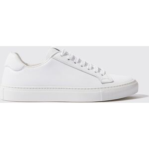 Scarosso Cecilia Bianca - Donna Sneaker Bianco - Vitello 38,5