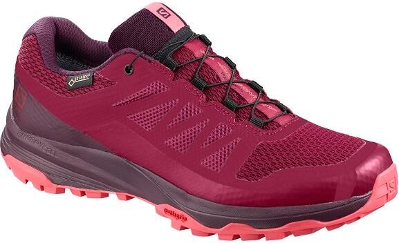 Salomon Xa Discovery Gtx W Løpe- Og Tursko Dame 40