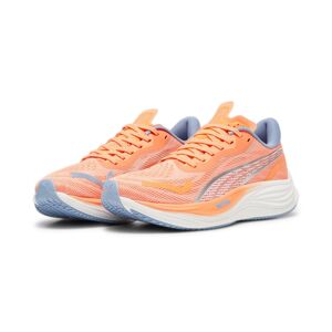 Laufschuh »Velocity NITRO 3« Neon Citrus-PUMA Silver-Dewdrop  41