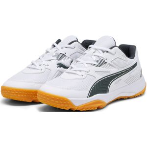 Hallenschuh »SOLARFLASH JR II« PUMA White-Shadow Gray-Gum  35