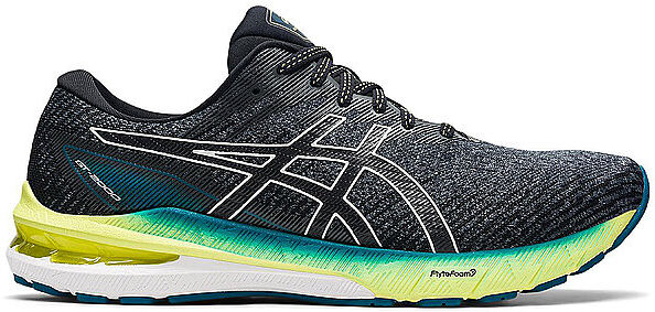 ASICS Herren Laufschuhe GT-2000 10 grau   Größe: 48   1011B185 Auf Lager Herren 48