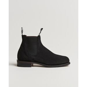 R.M.Williams Wentworth G Boot Black Suede