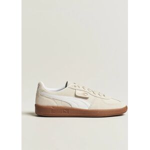 Puma Palermo Suede Sneaker Alpine Snow