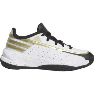 Adidas Basketball Sko Front Court Hvid EU 47 1/3 Mand