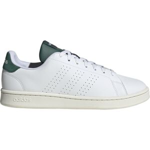 Adidas Advantage Skoe Hvid EU 42 Mand