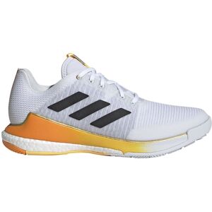 Adidas Volleyball Sko Crazyflight  EU 40 2/3 Mand