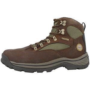 Timberland Herren Chocorua Trail Waterproof Chukka Boots, Braun (Brown w/Green), 41 EU