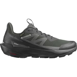 Salomon Men's Elixir Activ GORE-TEX Phantom/Black/Magnet 42 2/3, Phantom / Black / Magnet