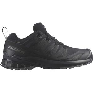 Salomon Xa Pro 3d V9 Goretex Vandresko Herrer Sko Sort 44 2/3