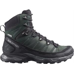 Salomon X Ultra Trek GTX Mens, Black Str. 50