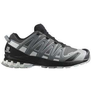 Salomon XA Pro 3D v8 GTX Mens, Magnet / Stormy Weather 41