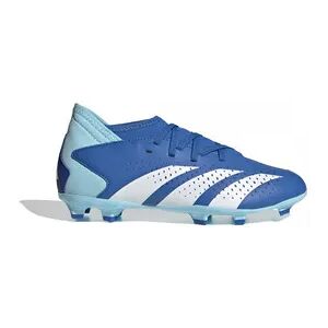 Adidas PREDATOR ACCURACY/3 FG - Botas de fÃºtbol broyal/ftwwht/bliblu