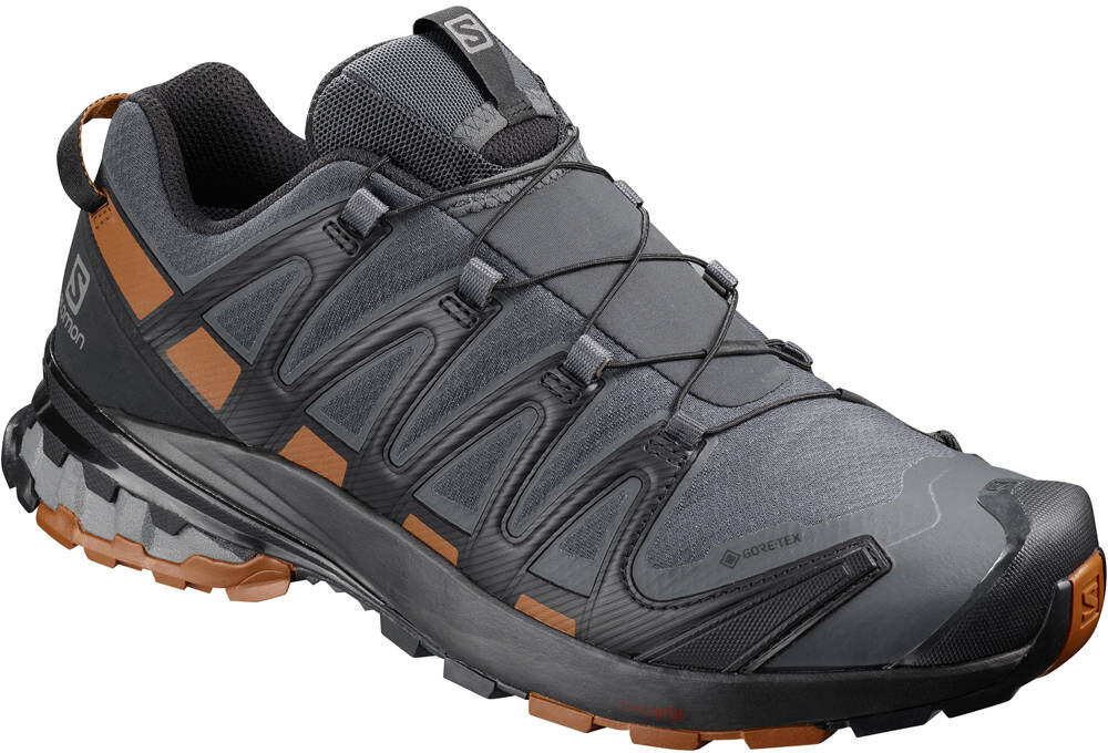 Salomon xa pro 3d v8 gore-tex zapatillas trail hombre Gris (42 2/3)