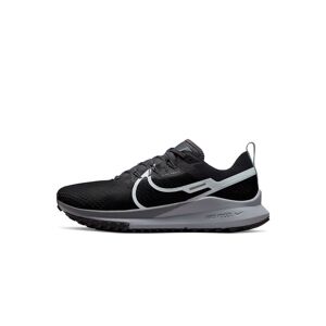 Chaussures de trail Nike Pegasus Trail 4 Noir & Gris Homme - DJ6158-001 Noir & Gris 8.5 male - Publicité