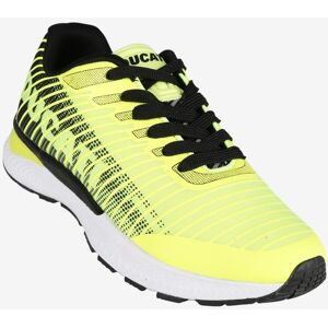 Ducati Sneakers sportive uomo Scarpe sportive uomo Giallo taglia 41