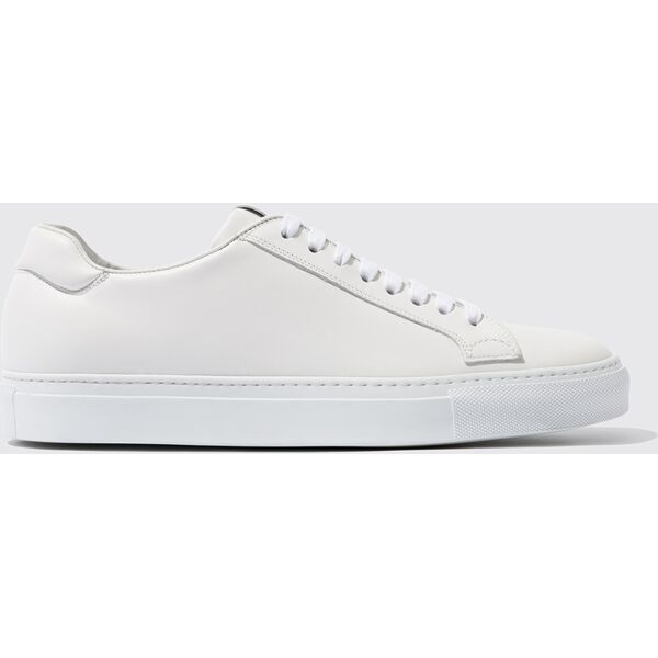 scarosso ugo bianco - uomo sneaker bianco - vitello 42