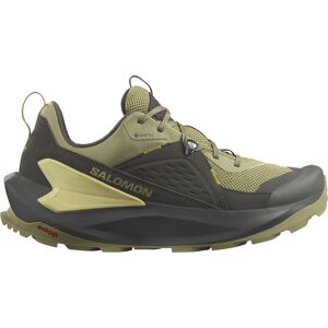 Salomon Men's Elixir GORE-TEX Black/Dried Herb/Southern Moss 45 1/3, Black/Dried Herb/Southern Moss