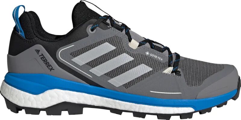 Adidas Men's Terrex Skychaser GORE-TEX 2.0 Hiking Shoes Grå