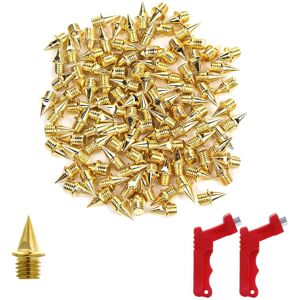 TAUOH 120Pcs 1/4 Inch Track Spikes for Track Shoes,Replacement Spikes for Cross Countr