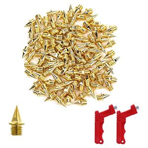 Duontyye 120Pcs 1/4 Inch Track Spikes for Track Shoes,Replacement Spikes for Country Short Running Shoes with Spike Wrench