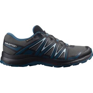 Salomon Xa Sierra Goretex Vandresko Damer Sko Sort 36 2/3