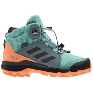 Adidas Terrex GTX K - Zapatillas de senderismo junior acimin/cblack/scrora