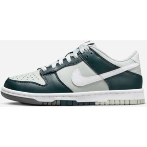 Zapatillas Nike Dunk Low  Verde Niño - FB9109-300