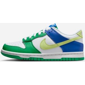 Zapatillas Nike Dunk Low Multicolor Niño - FN6973-100