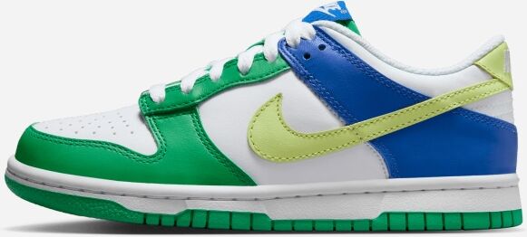 Zapatillas Nike Dunk Low Multicolor Niño - FN6973-100